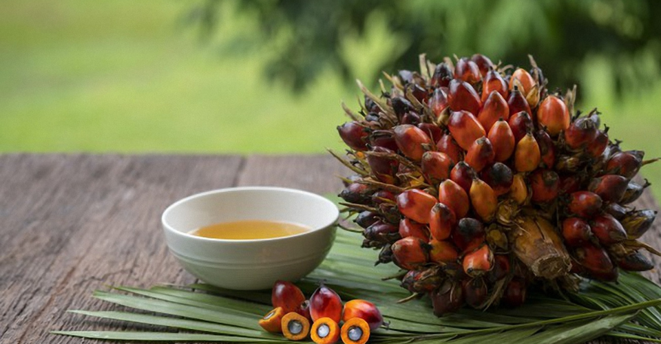 Gia dụng Đức Gia dụng Đức