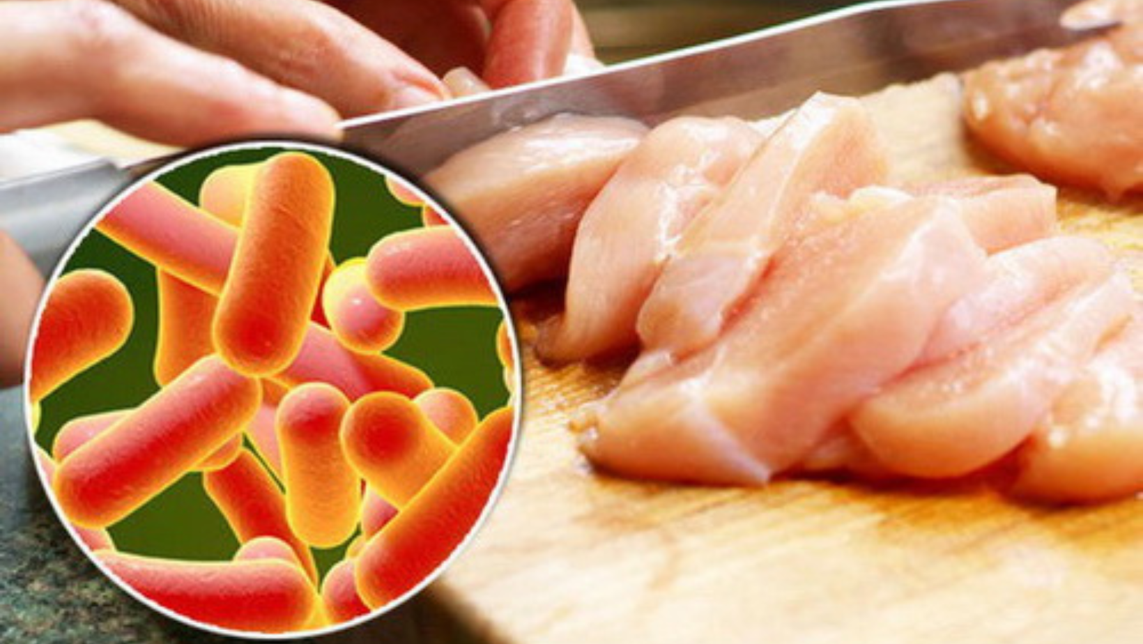 khu-khuan-thuc-pham khu-khuan-thuc-pham