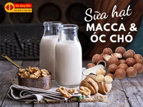 Công thức sữa hạt | Cách làm sữa hạt macca óc chó giàu dinh dưỡng