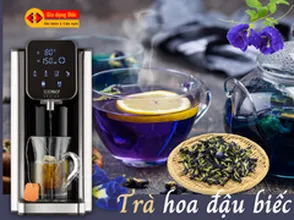 Thực dưỡng | Cách làm trà hoa đậu biếc