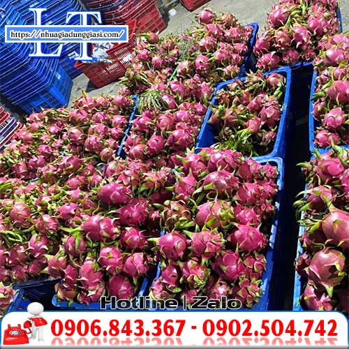 Rổ nhựa đựng trái cây hoa quả