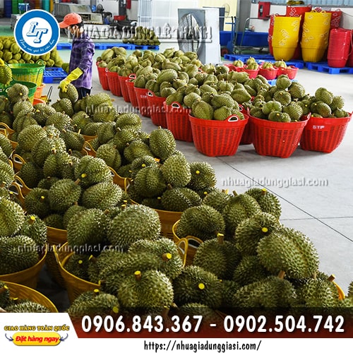 Cần xé nhựa đựng nông sản trái cây Cần xé nhựa đựng nông sản trái cây