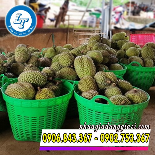 Cần xé nhựa đựng sầu riêng Cần xé nhựa đựng sầu riêng