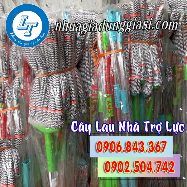 Cây lau nhà trợ lực