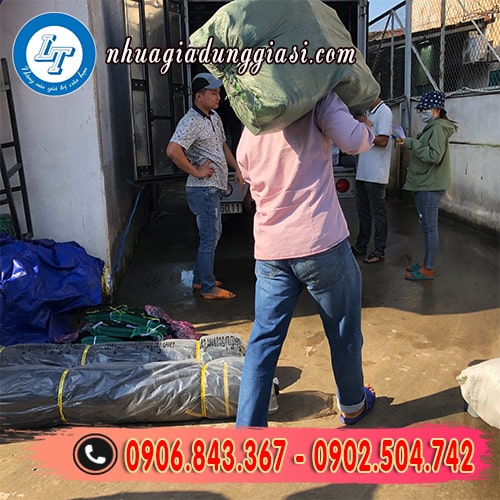 Giao sỉ ca múc nước