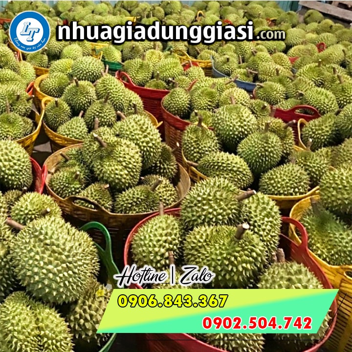Giỏ nhựa đựng sầu riêng tại nhà vườn Giỏ nhựa đựng sầu riêng tại nhà vườn