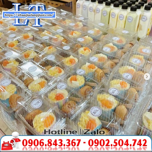 Hộp nhựa dùng 1 lần chất lượng cao Hộp nhựa dùng 1 lần chất lượng cao