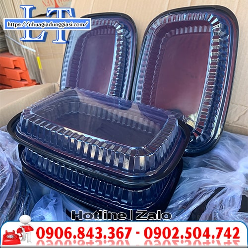 Hộp nhựa đựng cơm dùng 1 lần Hộp nhựa đựng cơm dùng 1 lần