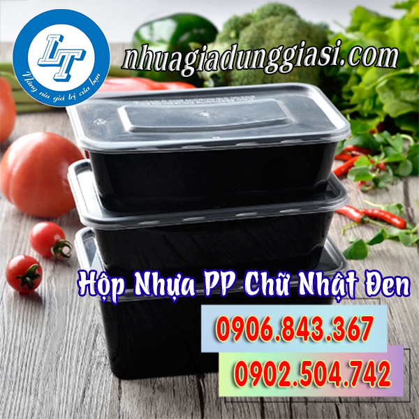 Hộp nhựa PP chữ nhật đen chất lượng
