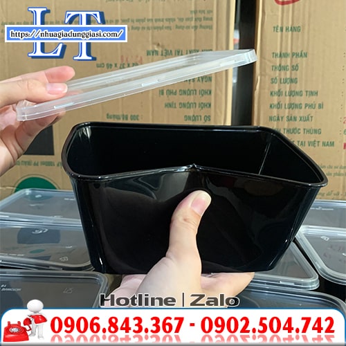 Hộp nhựa PP dẻo dai Hộp nhựa PP dẻo dai