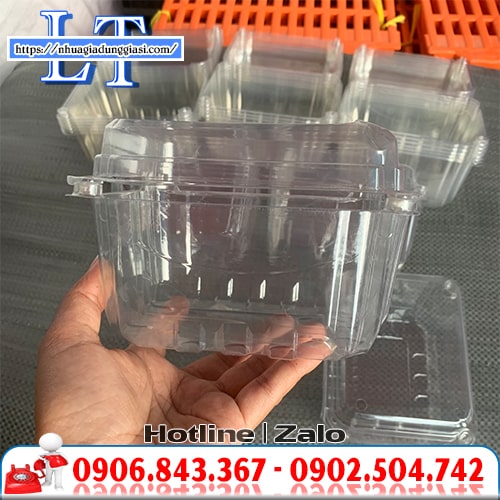 Hộp nhựa trong suốt đựng trái cây Hộp nhựa trong suốt đựng trái cây