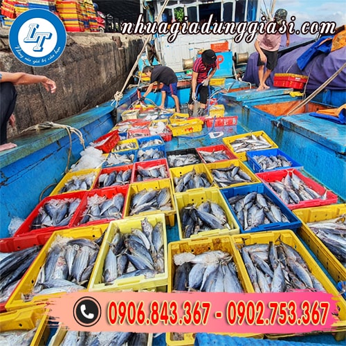 Kết nhựa thủy sản chuyển dùng của ngư dân Kết nhựa thủy sản chuyển dùng của ngư dân