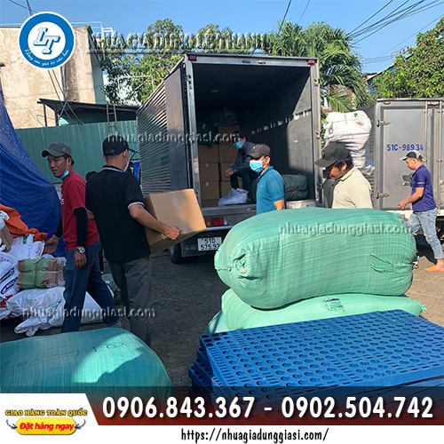 Lược nhựa chải tóc giao hàng tận nơi Lược nhựa chải tóc giao hàng tận nơi