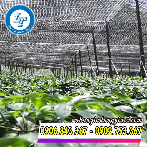 Lưới che nắng dùng trong nhà kính với độ thông thoáng tốt