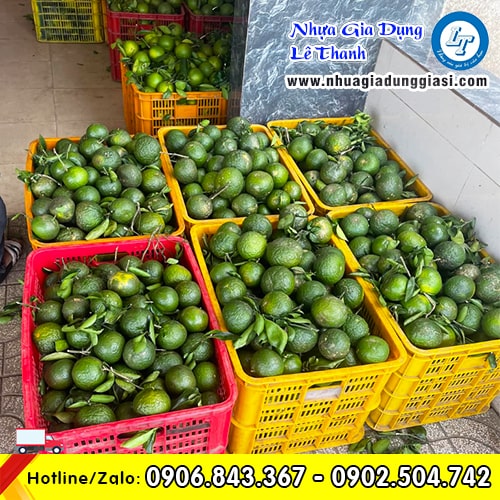 Rổ nhựa đựng hàng hóa nông sản trái cây các loại