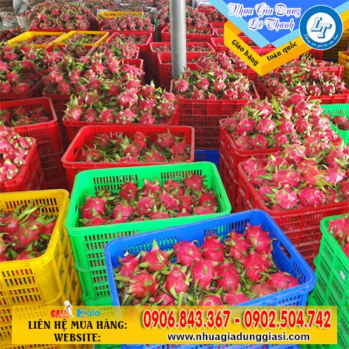 Rổ nhựa đựng hàng hóa trái cây tại các nhà vườn