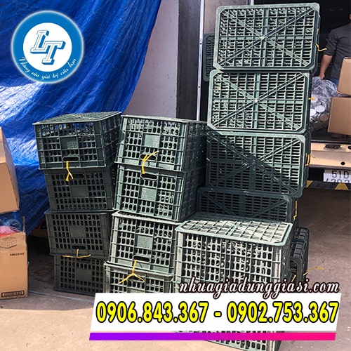 Rổ nhựa xanh đen