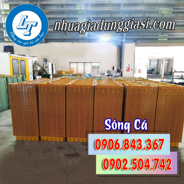 Sóng cá kết cá