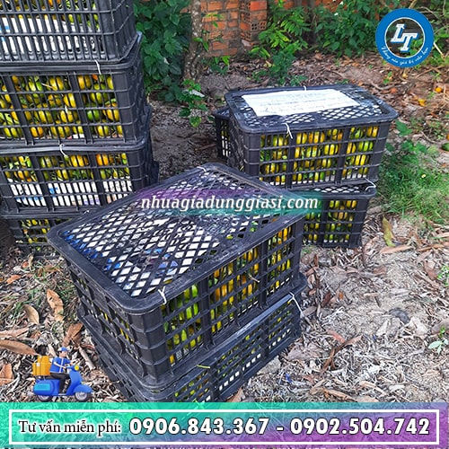 Sóng đựng bảo quản trái cây tránh hư dập khi vận chuyển