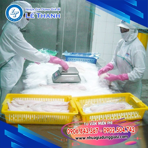 Sóng mực an toàn khi sử dụng