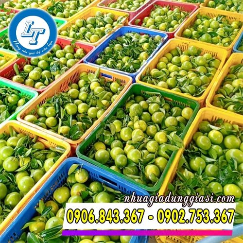 Sóng nhựa đựng cam trái cây tại nhà vườn