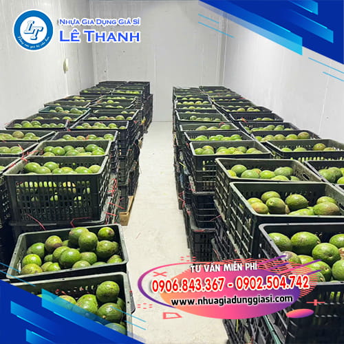 Sóng nhựa hở đựng trái cây, rau củ Sóng nhựa hở đựng trái cây, rau củ