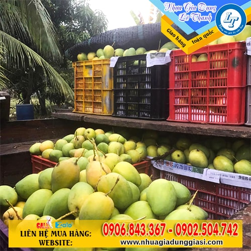 Sóng nhựa hở đựng trái cây