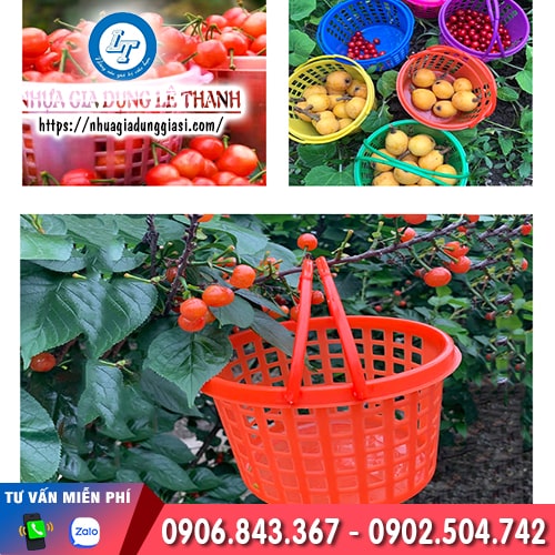 Sọt nhựa có quai nhỏ gọn tiện lợi dễ sử dụng Sọt nhựa có quai nhỏ gọn tiện lợi dễ sử dụng