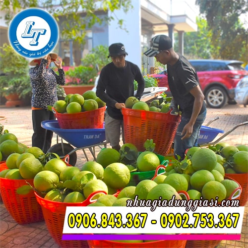 Sọt nhựa tròn đựng bưởi Sọt nhựa tròn đựng bưởi