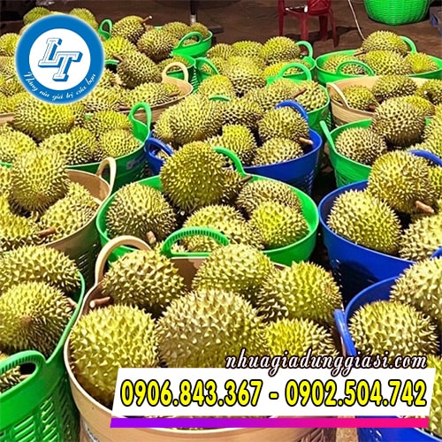 Sọt nhựa tròn đựng sầu riêng tại các vựa trái cây Sọt nhựa tròn đựng sầu riêng tại các vựa trái cây