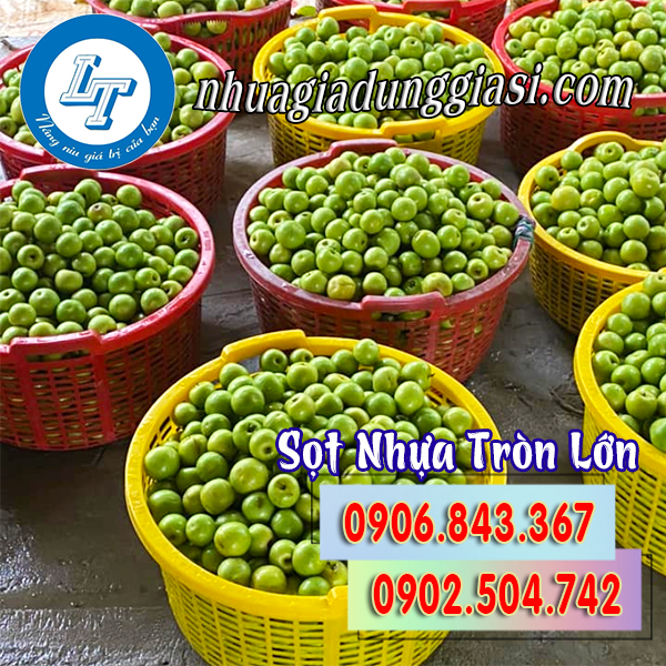 Sọt nhựa tròn lớn đựng trái cây