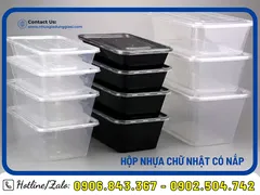 HỘP NHỰA CHỮ NHẬT CÓ NẮP GIÁ RẺ CHẤT LƯỢNG