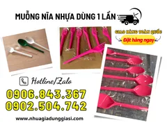 Muỗng nĩa nhựa dùng 1 lần giá sỉ ưu đãi