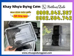 KHAY NHỰA ĐỰNG CƠM DÙNG 1 LẦN GIÁ SỈ RẺ TẠI TPHCM