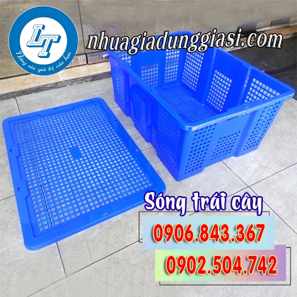 SÓNG TRÁI CÂY CÓ NẮP