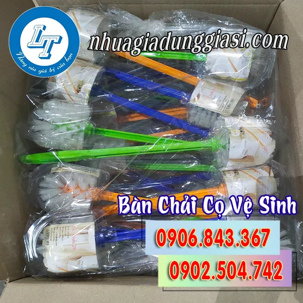 BÀN CHẢI CỌ VỆ SINH