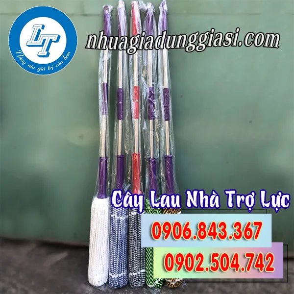 CÂY LAU NHÀ TRỢ LỰC