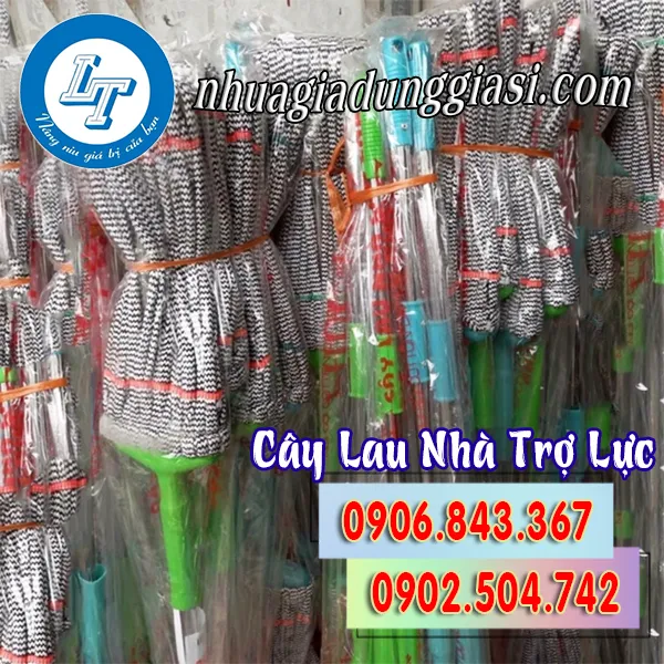 CÂY LAU NHÀ TRỢ LỰC
