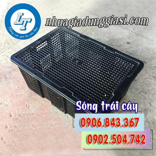 SÓNG TRÁI CÂY CÓ NẮP