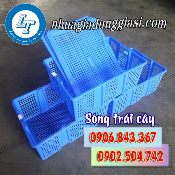 SÓNG TRÁI CÂY CÓ NẮP