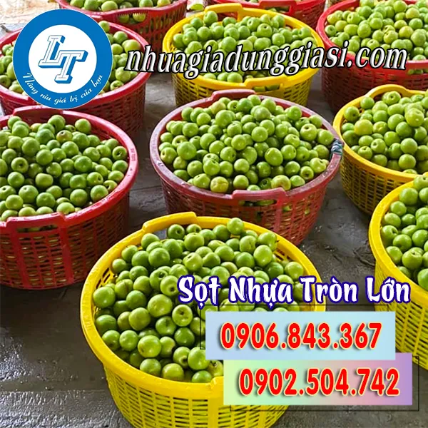 SỌT NHỰA TRÒN LỚN