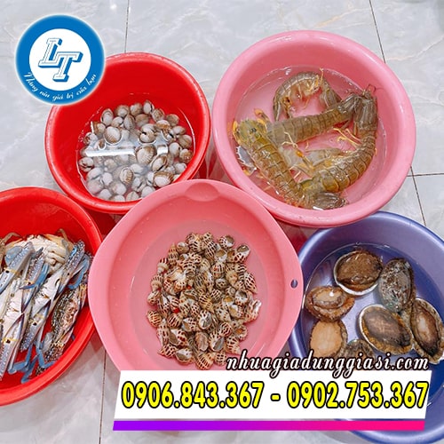 Ứng dụng thường thấy của thau nhựa