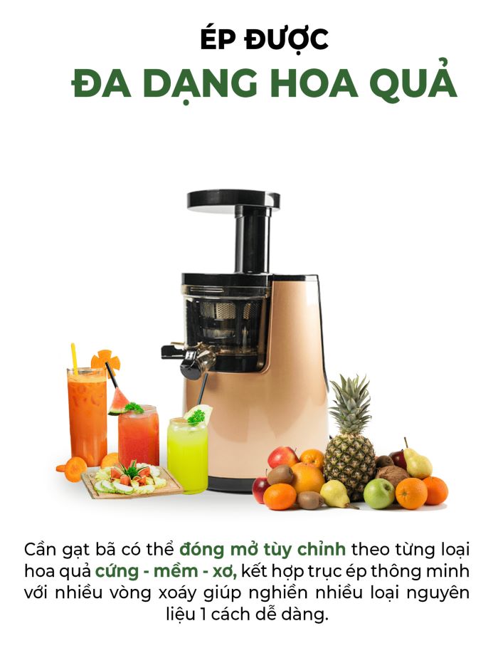 Máy ép chậm Promix SJ-06 có thể ép được đa dạng các loại hoa quả