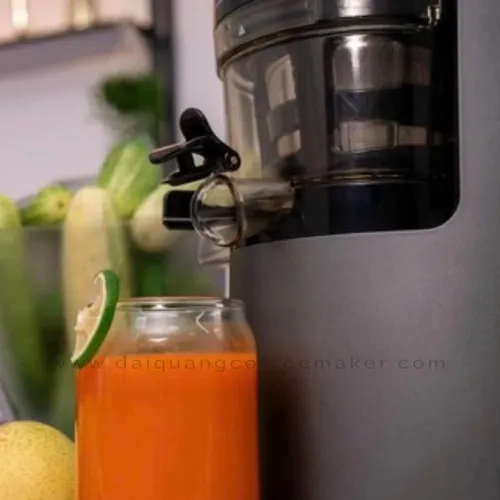 Máy Ép Chậm Uniblend E250: Giải Pháp Tối Ưu Cho Nước Ép Tươi Ngon