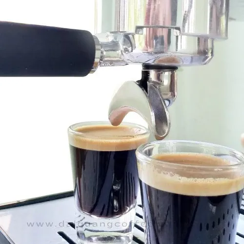 Máy pha cà phê Milesto M18 – Nhỏ gọn, mạnh mẽ, dễ sử dụng