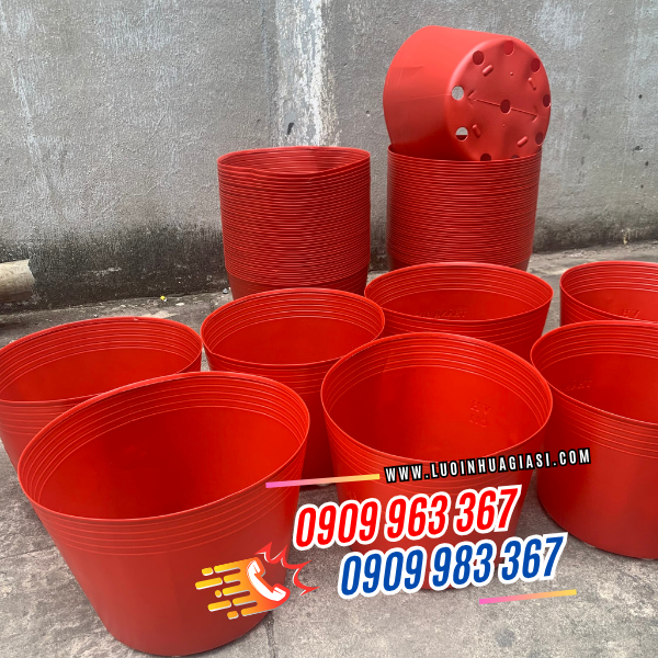 ĐỊA CHỈ BÁN RẺ CHẬU NHỰA MỀM TRỒNG HOA TẾT chậu nhựa đỏ mềm