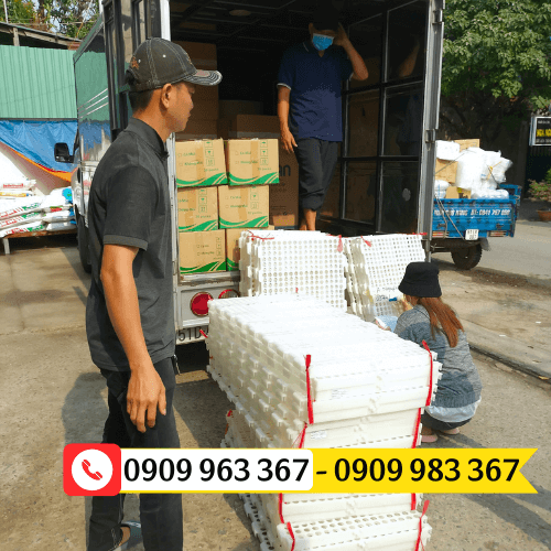 Tấm nhựa lót sàn chuồng gà giá sỉ đại lý sàn nhựa lê thanh