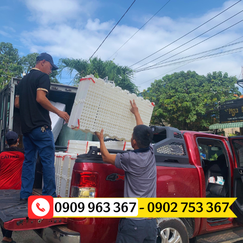 Sàn nhựa nuôi gà vịt ngan ngỗng giá rẻ tấm nhựa lót sàn màu trắng 50x100cm