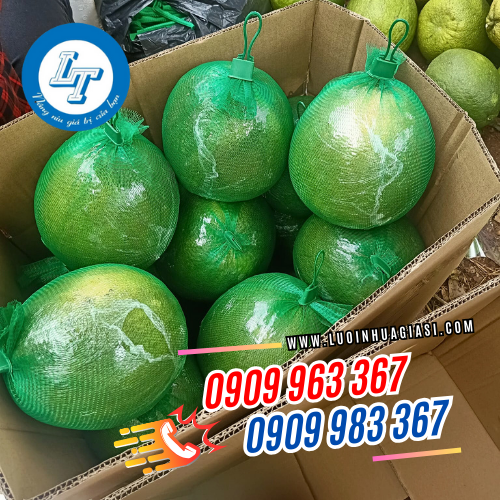 LẤY SỈ TÚI LƯỚI ĐỰNG TRÁI CÂY Ở ĐÂU TPHCM túi lưới bao bưởi