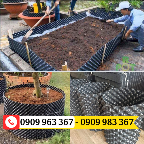 NƠI BÁN TẤM NHỰA QUÂY BẦU CÂY GIÁ RẺ TPHCM bầu ươm cây thông minh